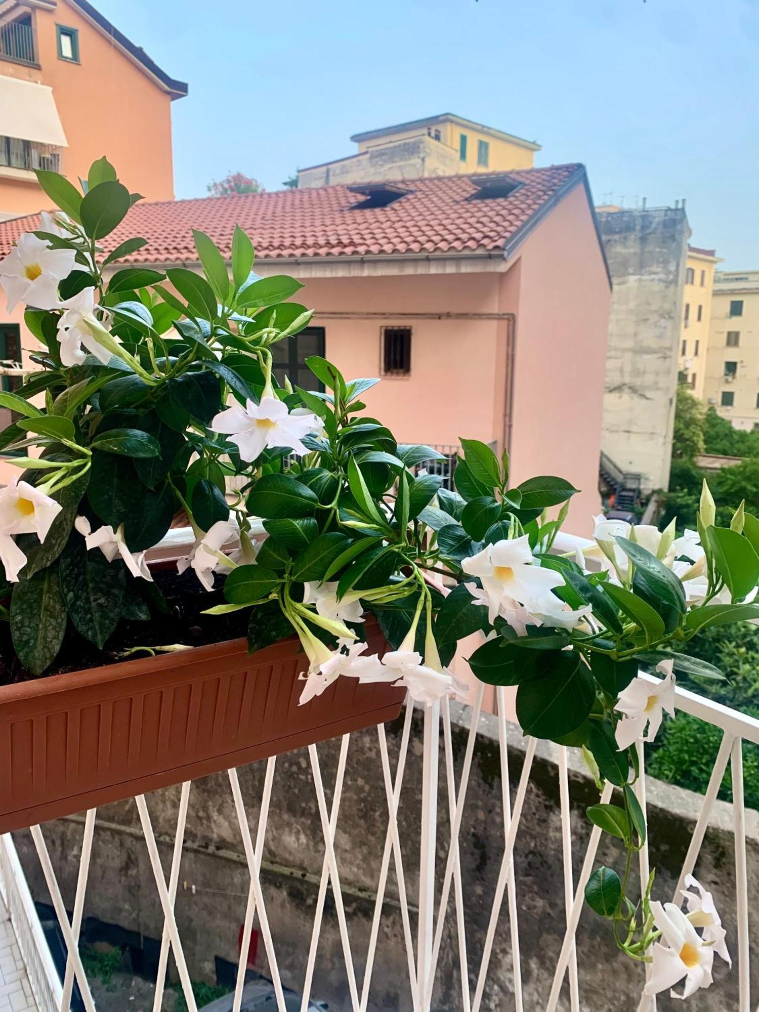 Casa Citro Apartment Salerno Luaran gambar